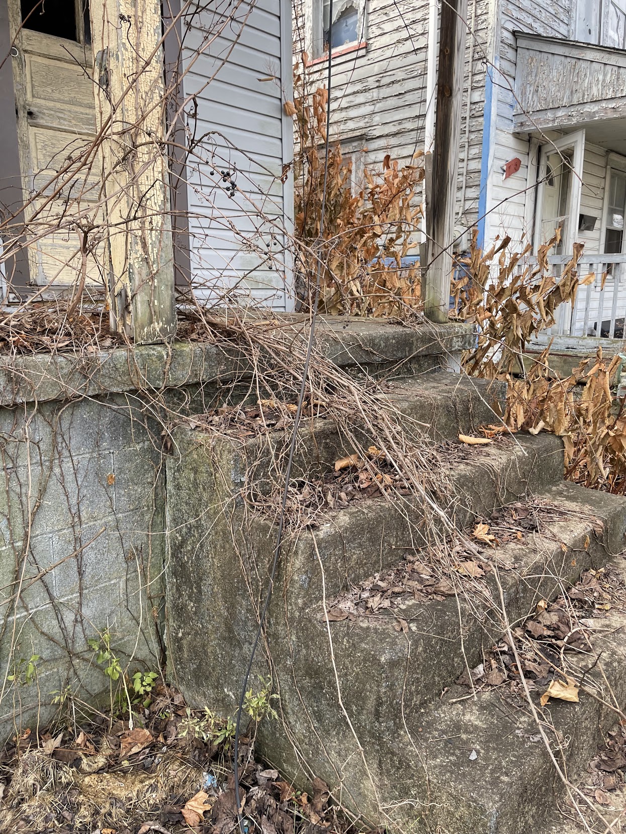 Geiser Home Buyers blog about selling houses fast and renovating distressed properties